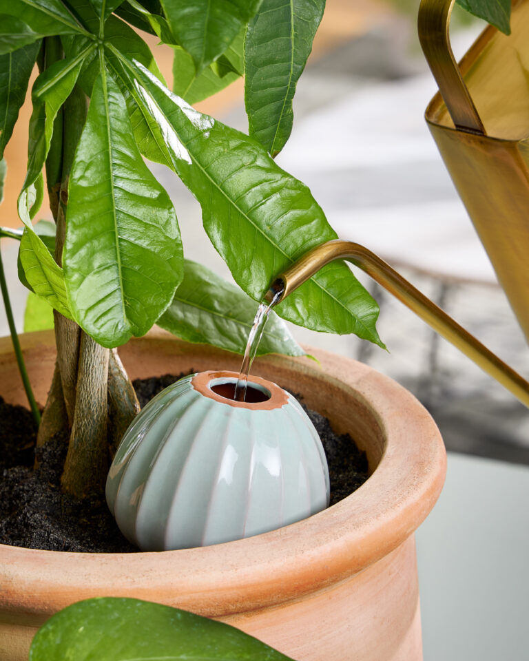 Modern Sprout_image_8