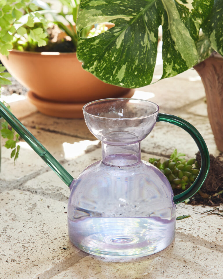 Modern Sprout_image_9